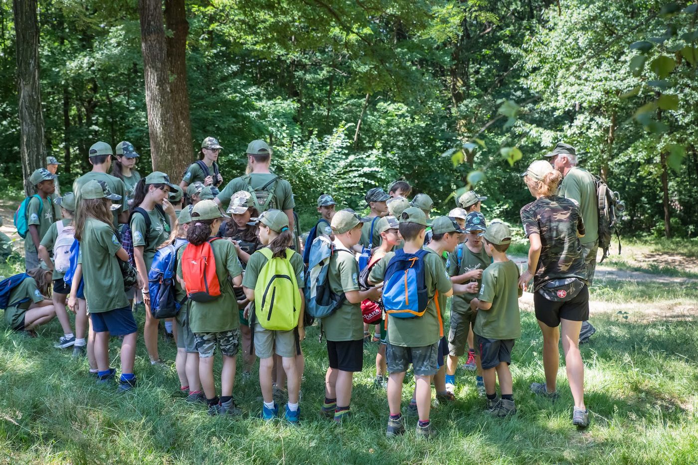 Gruppo in escursione nel bosco con zaini e materiale da campeggio