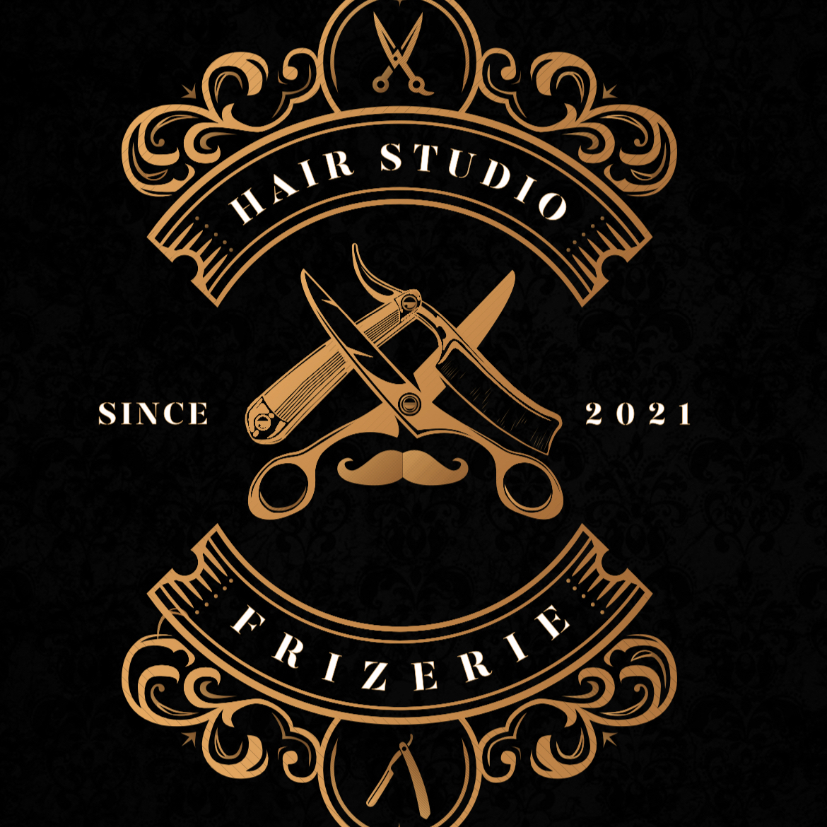 Logo Hair Studio Frizerie